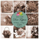 Dixi Craft - Dixi Toppers - Blomster