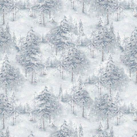 Woodland frost Grey winter forest 0,5m