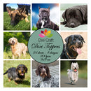 Dixi Craft - Dixi Toppers - Hunder