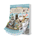 The little book of Curious cats