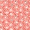 Koi garden Korall pr dm