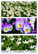 Slimkortbilder blomster