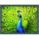 DIAMOND PAINTING KIT BEAUTIFUL PEACOCK 40X30 CM