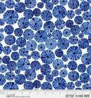 By the sea Sea urchin Pr dm