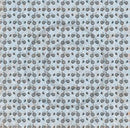 Fremtidsdrømmer Sykkel