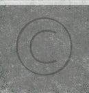 Fremtidsdrømmer Hestekrefter