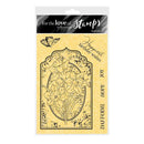 Garden flowers Daffodil Joy