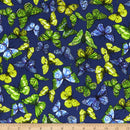 Rainforest Butterfly blue