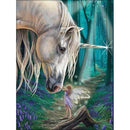 UNICORN AND FAIRY 30*40 CM Diamond painting