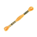 19 DMC light autumn gold