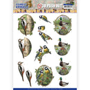 Forest Animals - Woodpecker