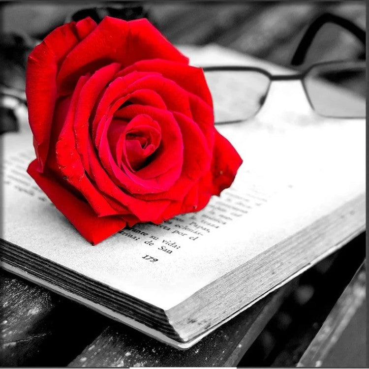 Rose and book 25x25