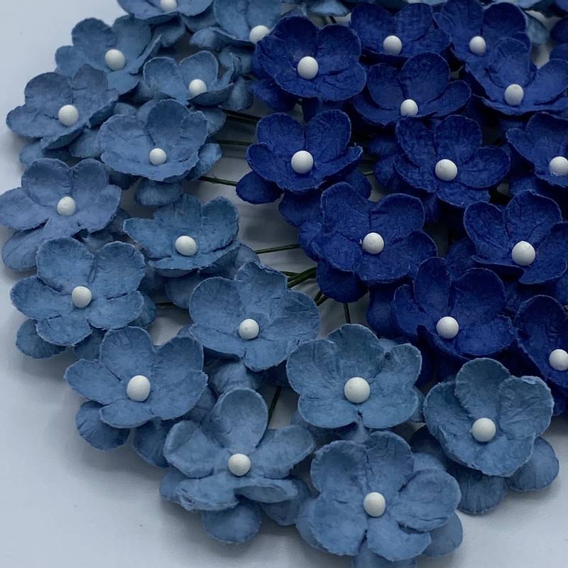 Søte blomster Blå