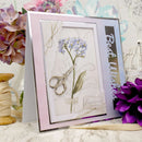 The little book of Pressed flowers