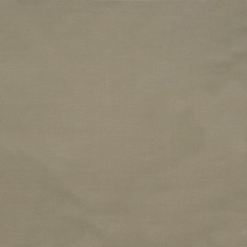 Bella solids dove Pr dm