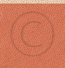 Tur i skogen Høstblader