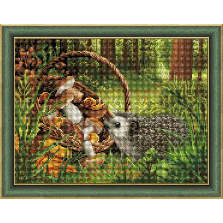 HEDGEHOG IN THE FOREST 40X30 CM Diamond painting