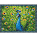 DIAMOND PAINTING KIT BEAUTIFUL PEACOCK 40X30 CM