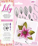 Lily collections