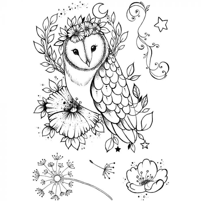 Midsummer owl A5