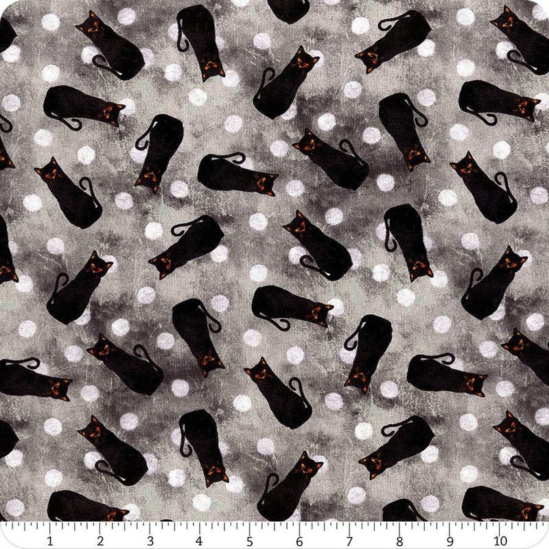 Frightful night katt