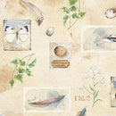 Nature study beige 0,5m