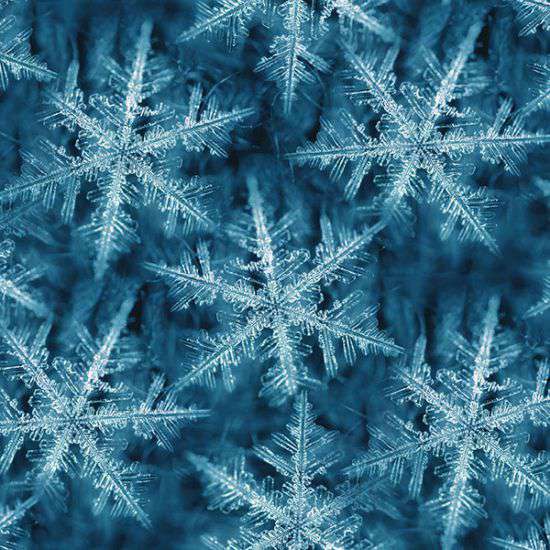 Snowfall Blue Pr dm