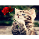 Diamond paintings Kattunge