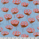 Driftless Bloom in cadet