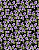 In Bloom Small floral purple Pr dm