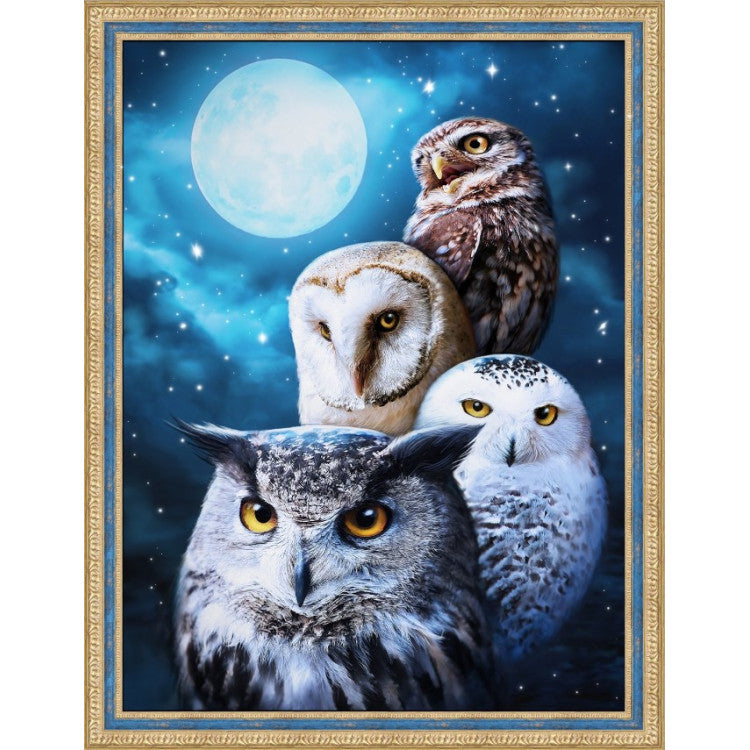 NIGHT OWLS 30*40 CM Diamond painting