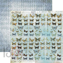 Back in time Time flies