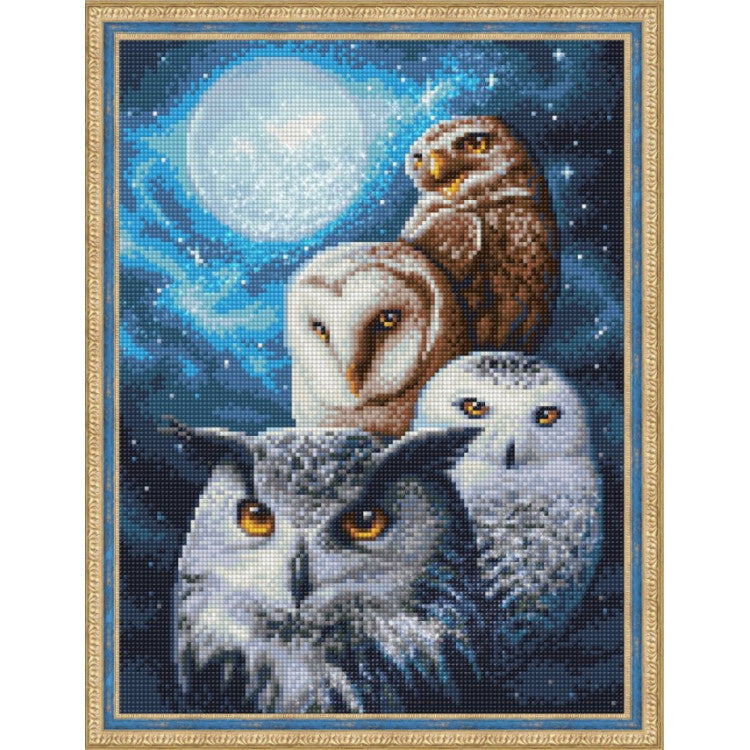 NIGHT OWLS 30*40 CM Diamond painting