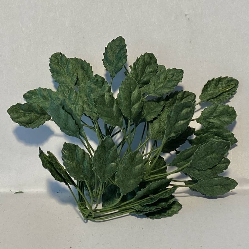 BLADER, 1 CM