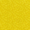 Hopscotch Deconstructed Dandelion