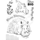 Hip hippo ray A5
