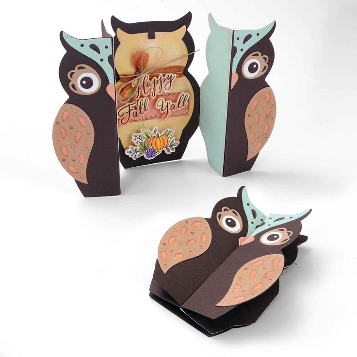 Owl label fold-a-long