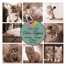 Dixi Craft - Dixi Toppers - Katt